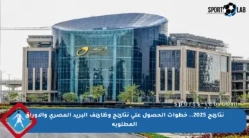 نتائج 2025.. خطوات الحصول على نتائج وظائف البريد المصري والأوراق المطلوبة